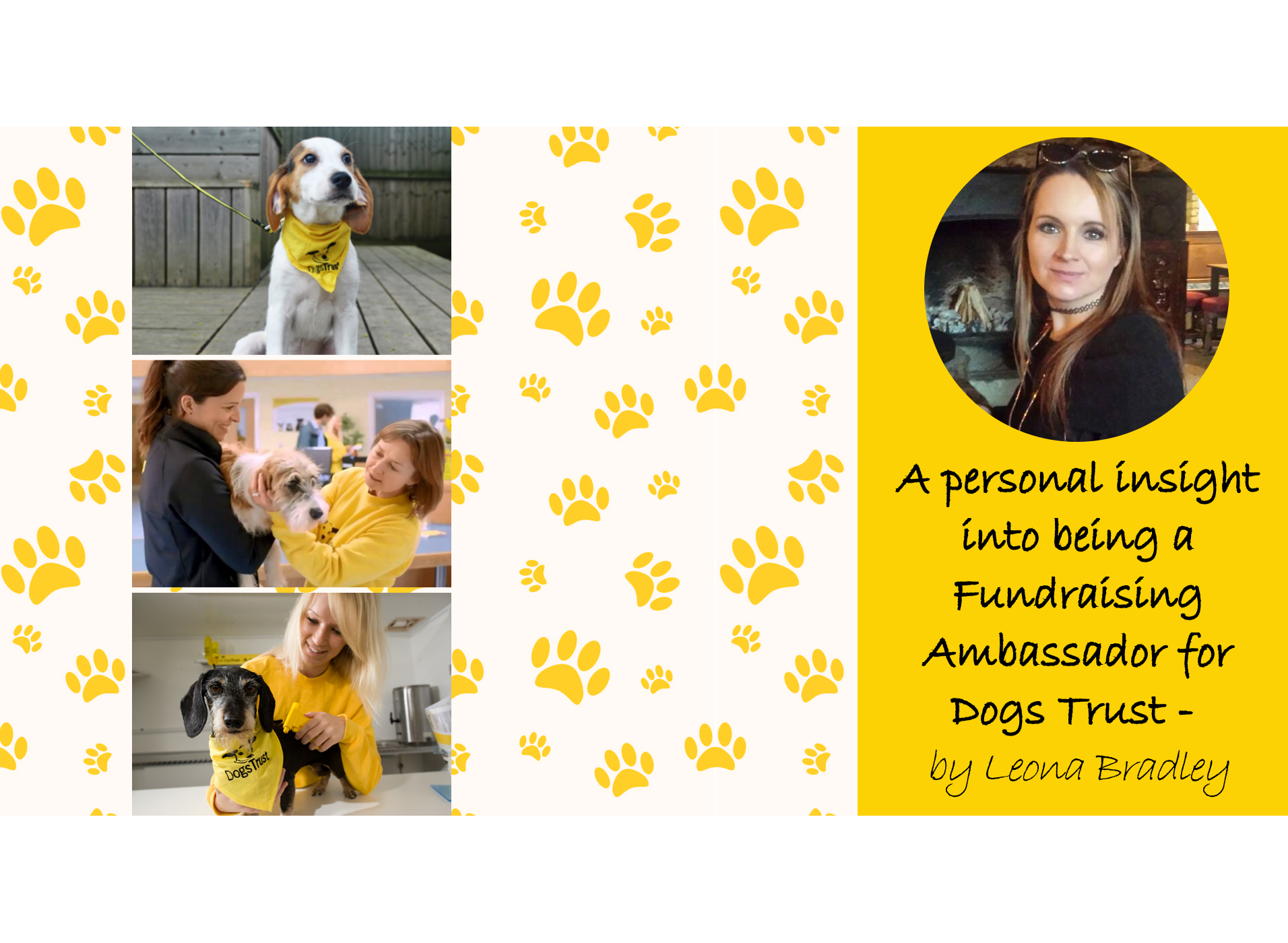 A personal insight into being a Fundraising Ambassador for Dogs Trust